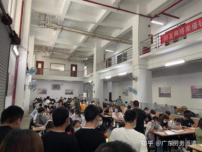 学历与选择的困局 大专生在广东 factory 的真实生存图景